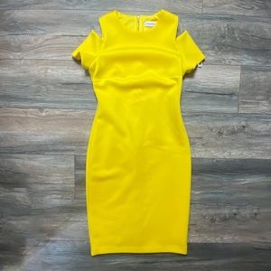 Calvin Klein Dress